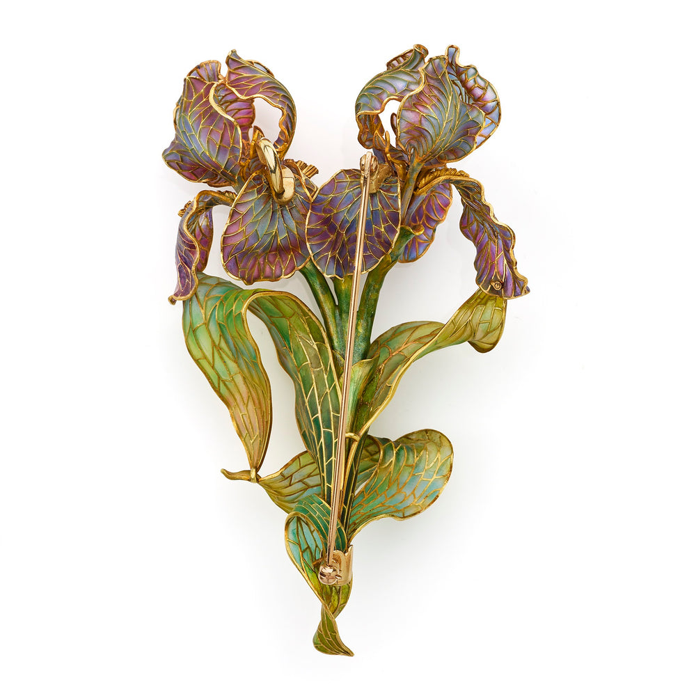 Macklowe Gallery Marcus & Co. Art Nouveau Enamel Iris Brooch